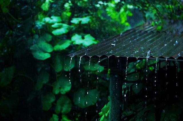 20230813103136561 - “梅雨无尽头，遍地起坟头”，2023年啥时候入梅？真会起坟头吗？