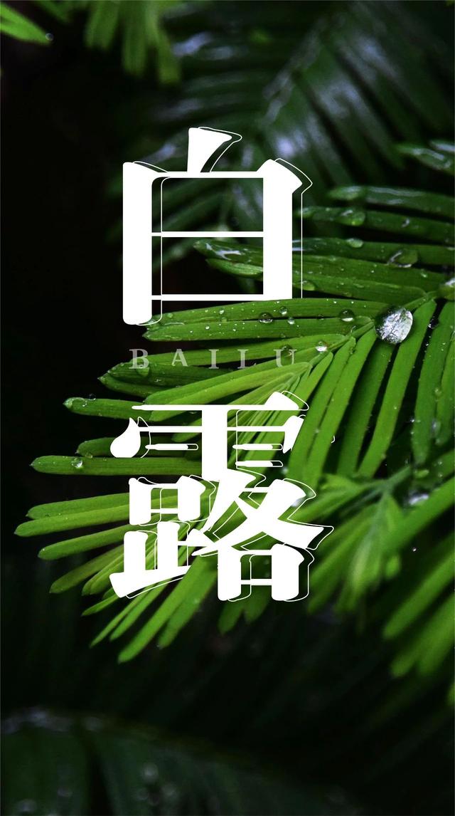 20230908121049268 - 9月8日白露，老人说：今年白露不一般，有2个特点，分别是啥？