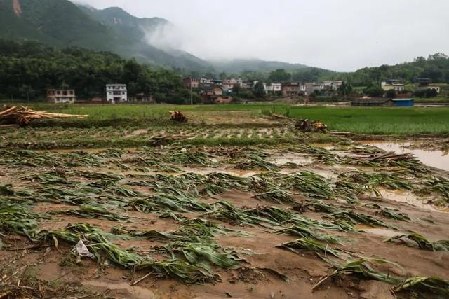 20230913114537304 - 2024甲辰龙年，老人说“春夏遭淹没，雪冻在三冬”，预测准不准？