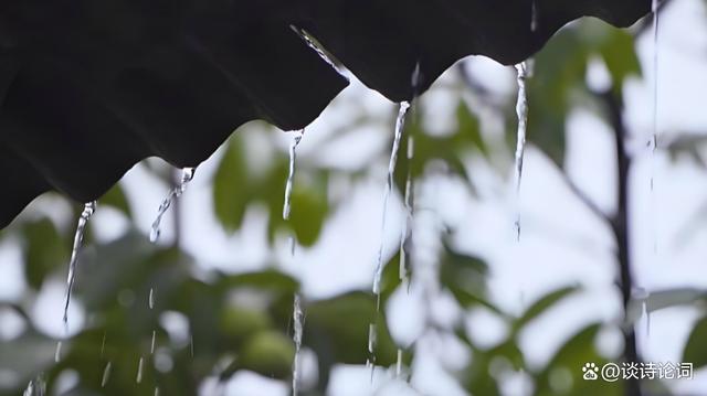 20240723163944383 - 梅雨季节，奉献三首七绝，情文并茂，笔下生花