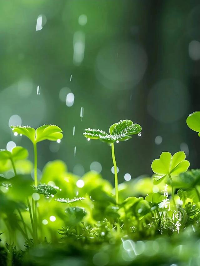 20240807141037371 - 宋诗中水平很高的一首写雨诗，颔联千古流芳，不愧出自名家之手