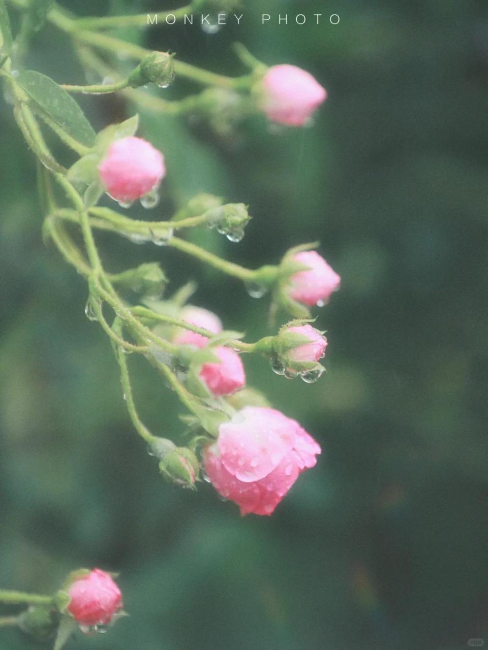 20240814135441114 - 秋雨一何碧，山色倚晴空。39山水风光诗词，繁复或闲适尽在方寸间