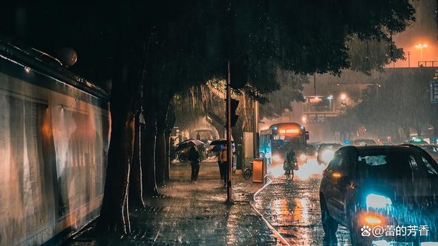 20240816201812422 - 已经淋过雨，有没有伞都没关系，愿我们能成为在雨中勇敢前行的人